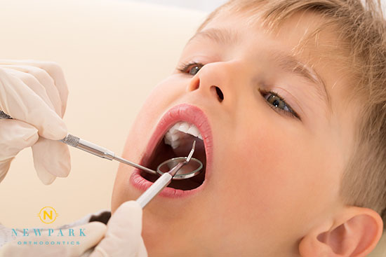 child getting a dental checkup